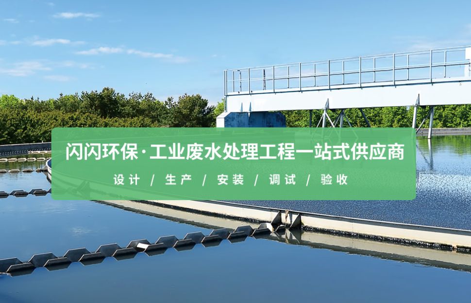 闪闪控股品牌官网案例 - 凌壹信息高端网站建设作品